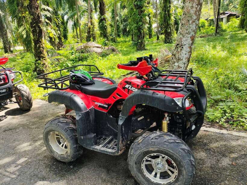 Krabi : ATV Jungle Adventure With Round Trip Transfer
