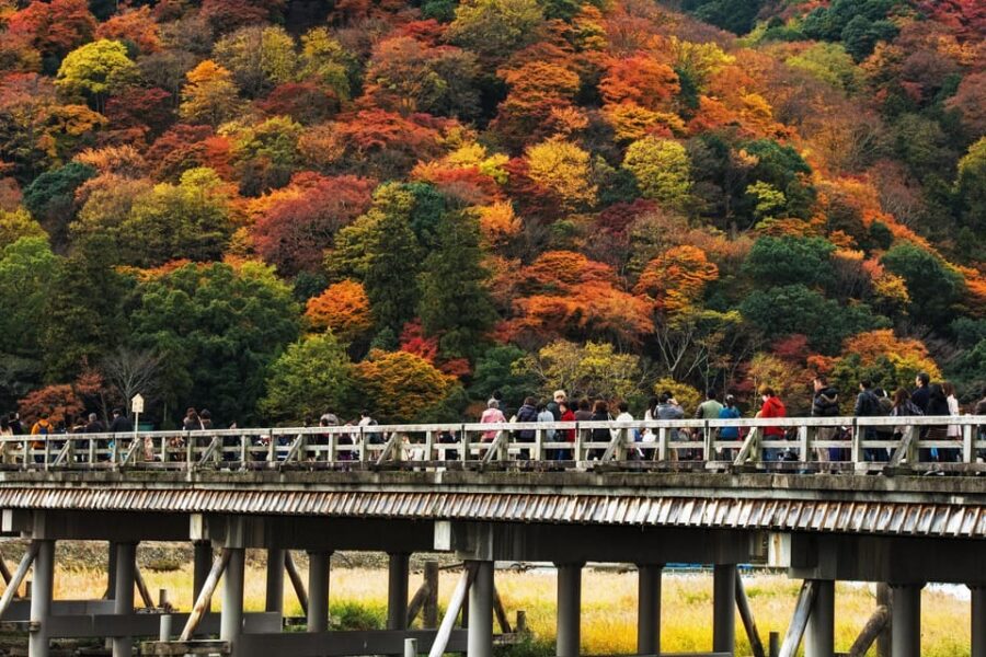 Kyoto: Arashiyama Tour With Optional Sagano Romantic Train