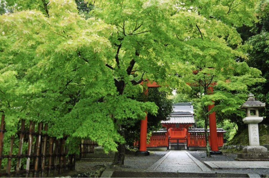 Kyoto: Arashiyama Walking Tour With Tea and Foot Bath