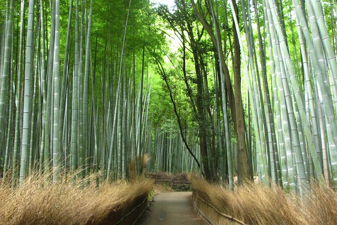 Kyoto Bus Tour: Arashiyama, Kinkaku-ji, Fushimiinari Shrine