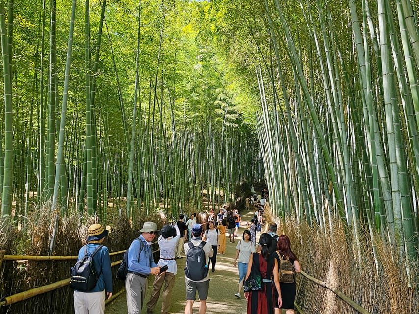 Kyoto: Customizable 4-Hour World Heritage Sites Tour