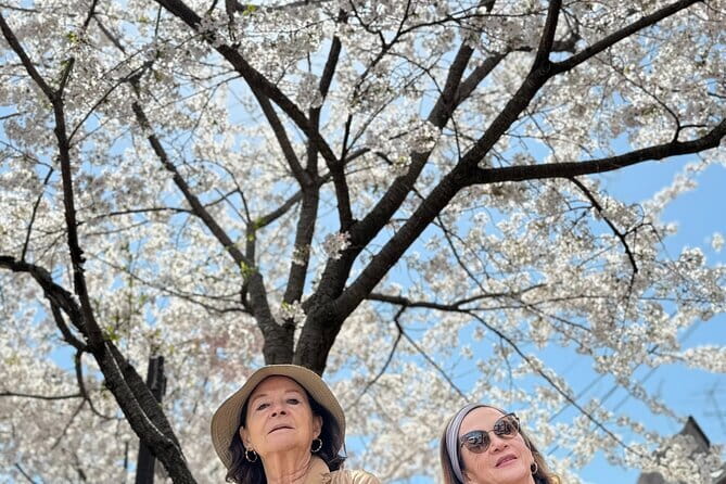 Kyoto Exploration With an Accredited Government Guide