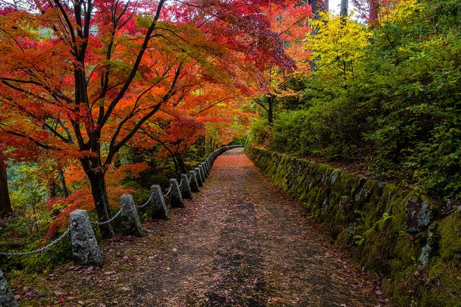 Kyoto Full Day Trip From Osaka