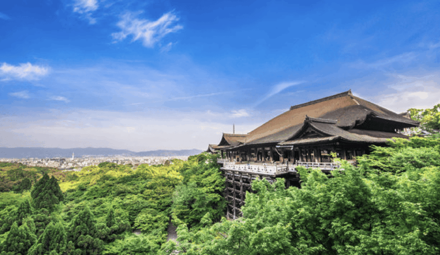 Kyoto Fully Customized 1 Day Private Tour