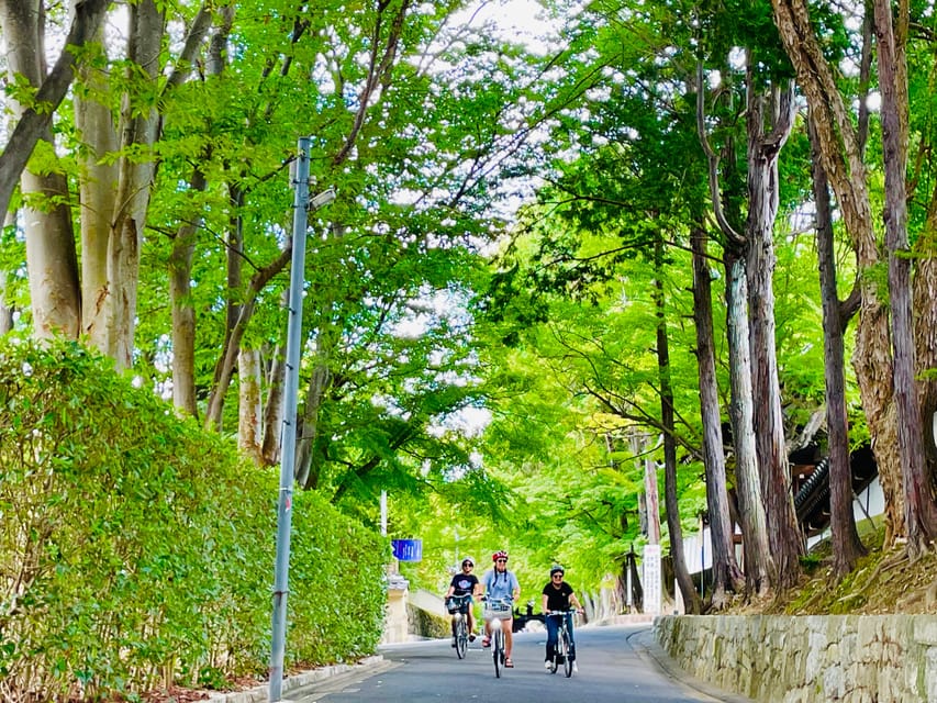 Kyoto: Fushimi Inari Shrine and Tofukuji Temple E-Bike Tour - Tour Overview