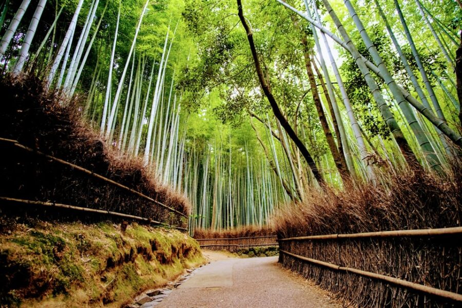 Kyoto: Golden Triangle Tour