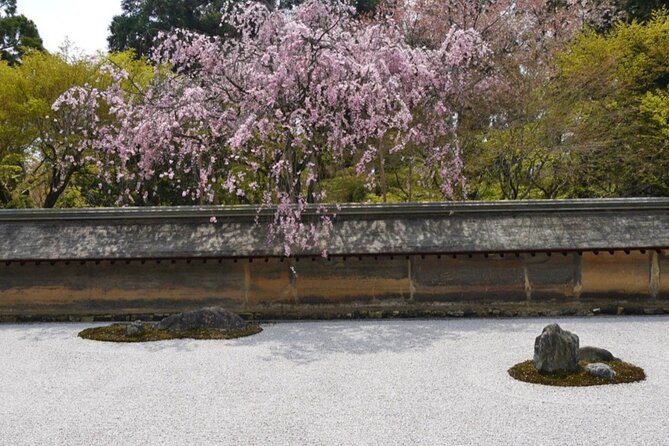 Kyoto ITALIAN GUIDE Golden Pagoda Bamboo Forest Dry Garden