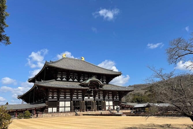 Kyoto & Nara Day Tour: Golden Pavilion, Fushimi Inari & Deer Park
