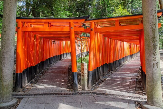 Kyoto & Nara & Uji: Full Day Sightseeing Tour From Osaka or Kyoto