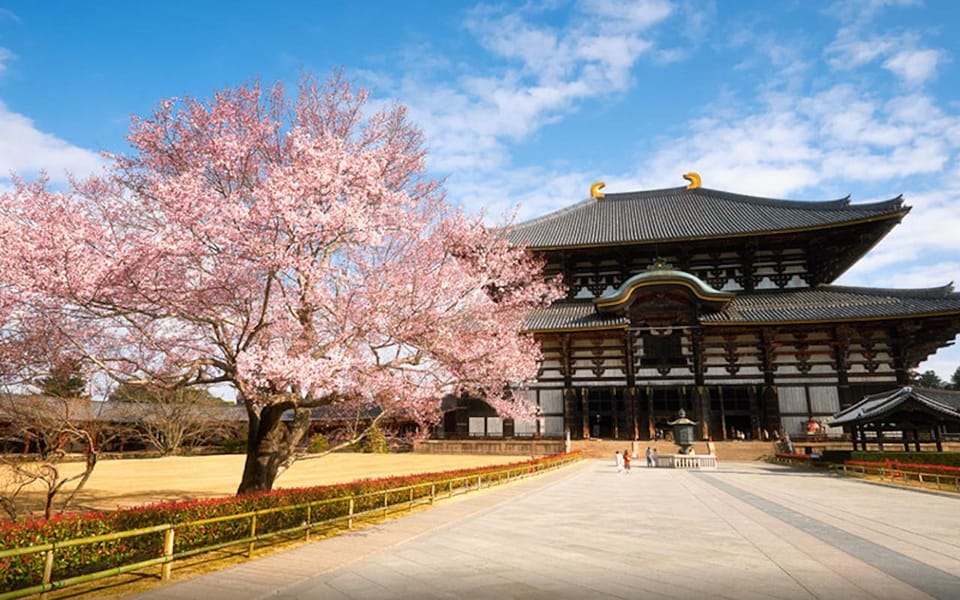 Kyoto/Osaka: Nara Customizable Self-Guided Tour With Driver