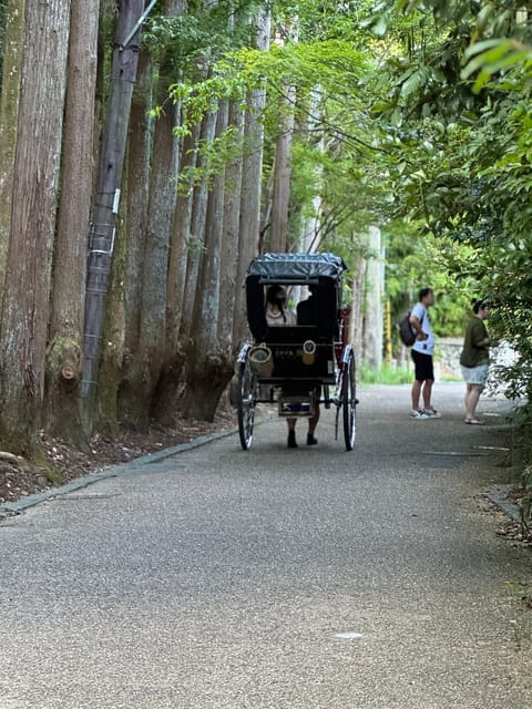 Kyoto: Private 4-Hour Tour of Arashiyama – Avoid the Crowds