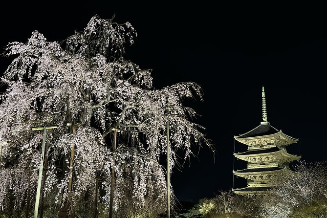 Kyoto/ Private Tour Delivered and Guided by a Top-Tier Driver - Tour Overview