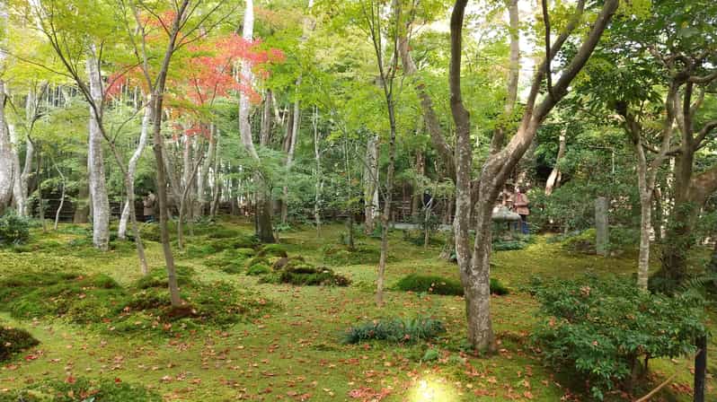 Kyoto: Quiet Arashiyama and Sagano Temples Guided Tour