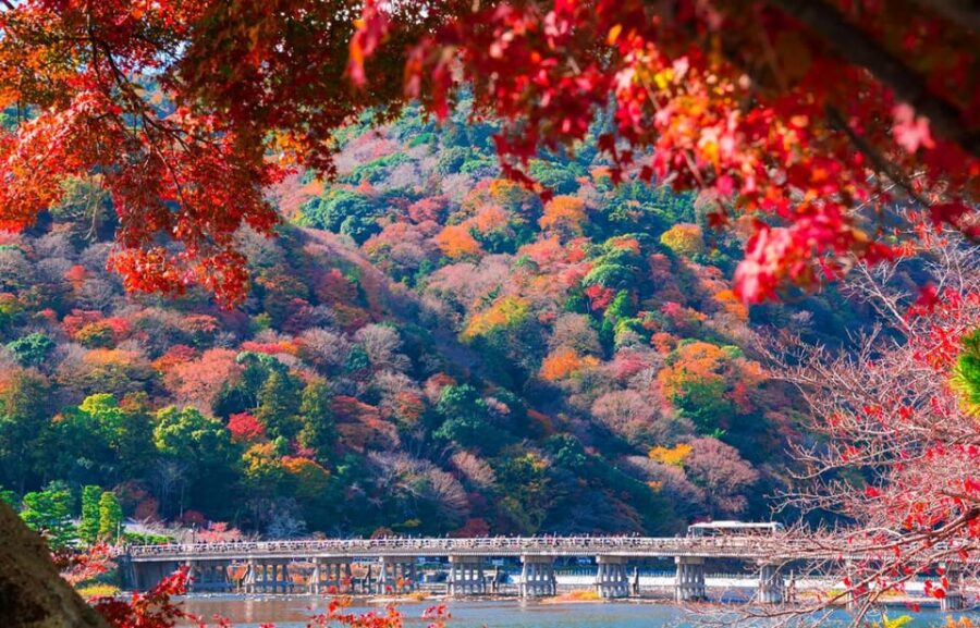 Kyoto: Sanzen-in Temple, Arashiyamas Scenic UNESCO Day Tour