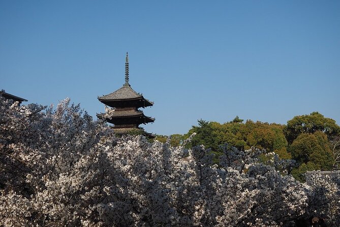 Kyotos World Heritage Walking Tour From Kyoto St.