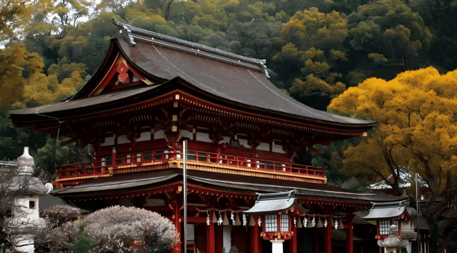 Kyushu 9-Hour Chartered Day Trip｜ Fukuoka