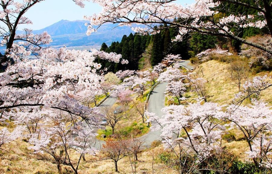 Kyushu: Kamisiki Mikumano Shrine & Takachiho Gorge Day Tour
