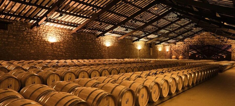 La Rioja: Guided Visit to CVNE Winery and Wine Tasting