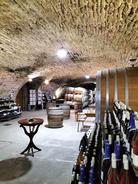 La Roche Vineuse: Visit to the Vine and Wine Museum