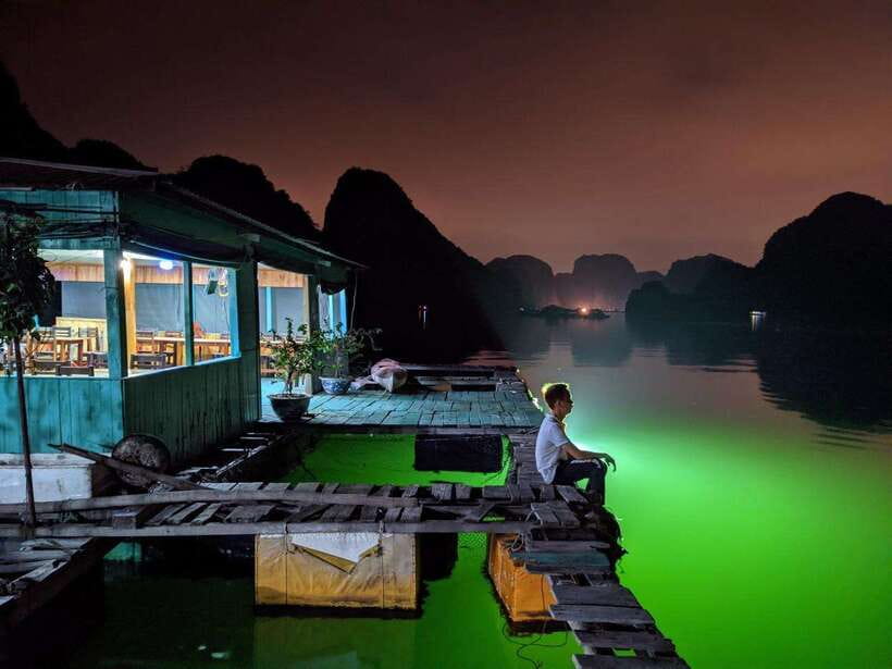 Lan Ha Bay: Bioluminescent Plankton Kayak Tour From Beo Pier - Tour Overview and Pricing