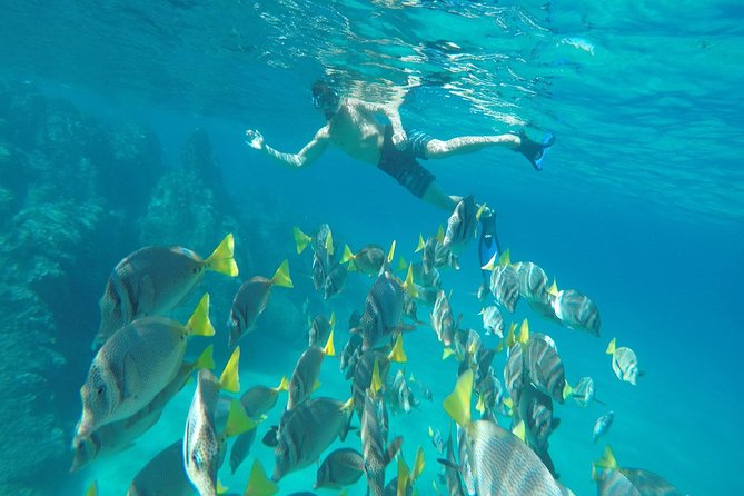 Lands End & Snorkel Tour in a Glass Bottom Boat (VisitA Cabo)