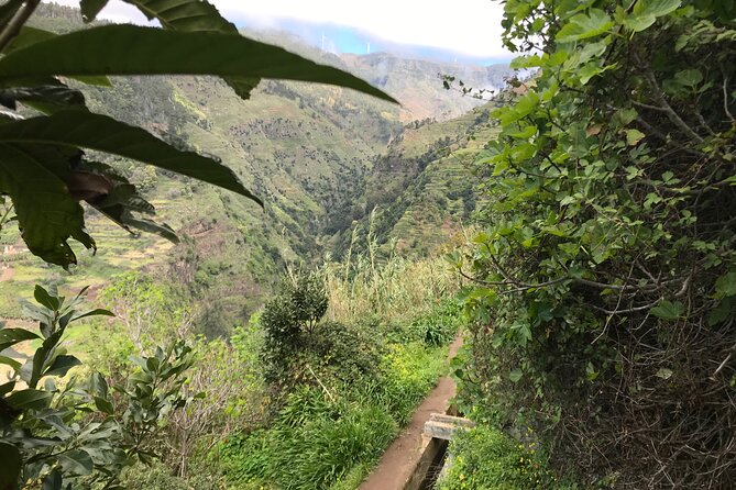 Levada Do Moinho and Levada Nova (Private)
