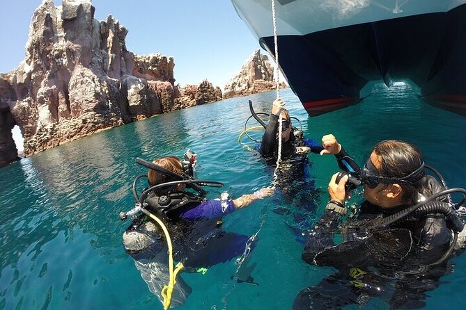 Los Cabos 1 Tank Dive to Land’s End (Certified Divers)