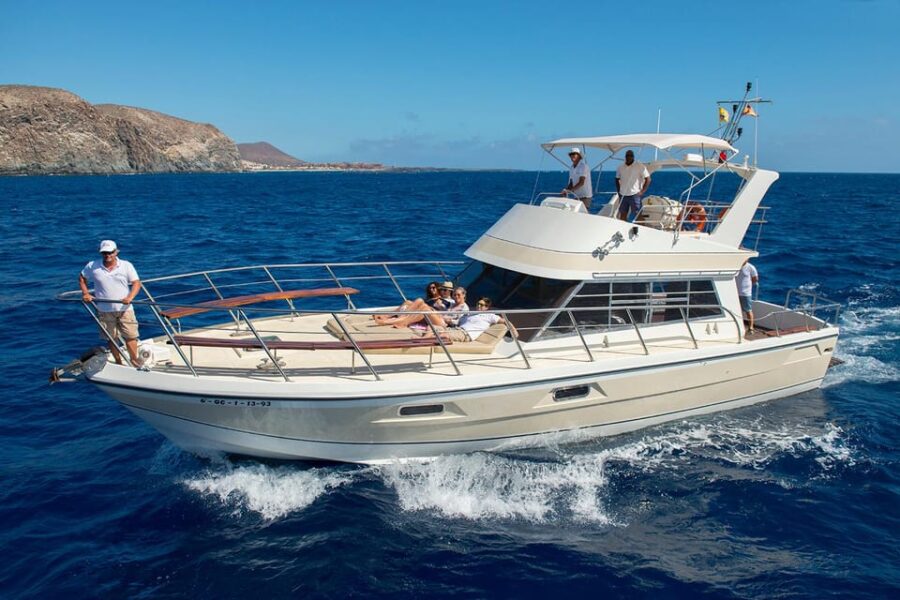 Los Cristianos: Whale Watching Tour and Swimming in the Sea on a Yacht for 22 Persons