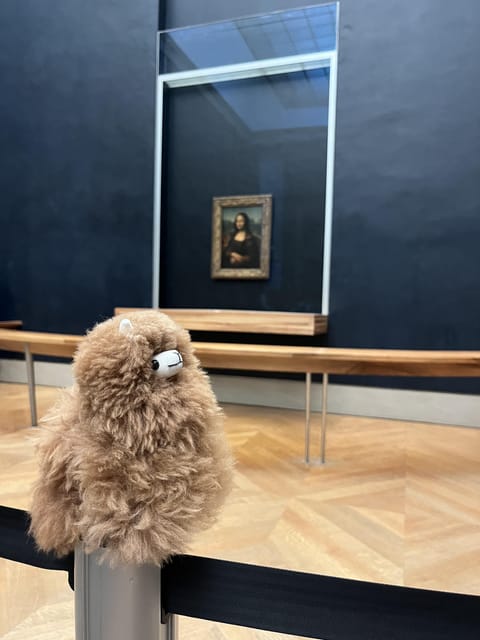 Louvre Museum Entry Ticket and Private Guided Tour