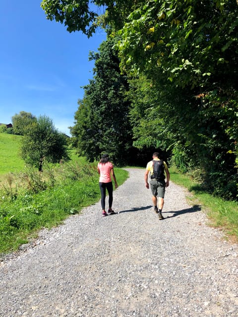 Lucerne: Farm Tour and Cheese Tasting - Inclusions and Pricing