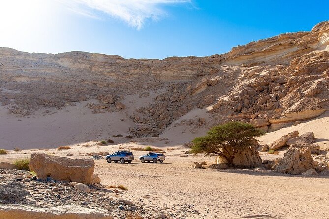 Luxury Desert Safari Tour Review: A Must-Experience