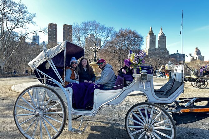 Luxury Horse and Carriage Tours Review - Overview of Luxury Horse and Carriage Tours