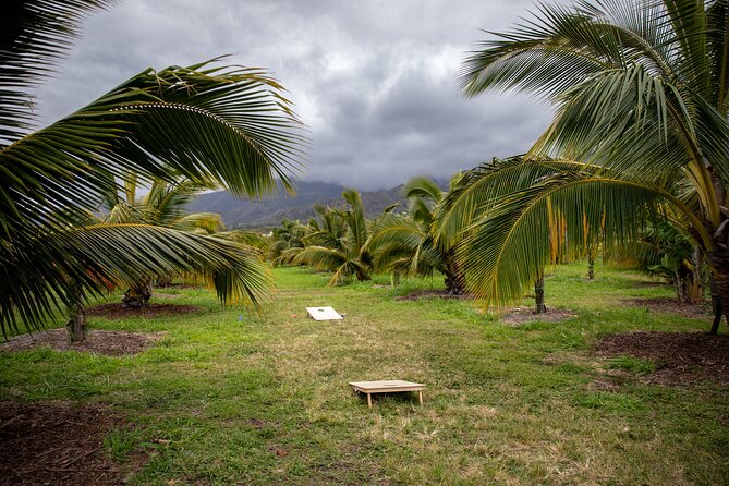 Macnut Tour, Picnic Lunch and Maui Bees - Tour Overview