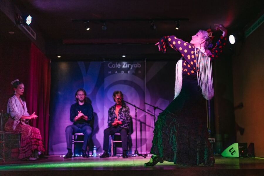 Madrid: Flamenco Show at Café Ziryab - Experience Overview