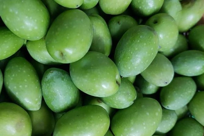 Make You Own Wildcrafted Extra Virgin Olive Oil!
