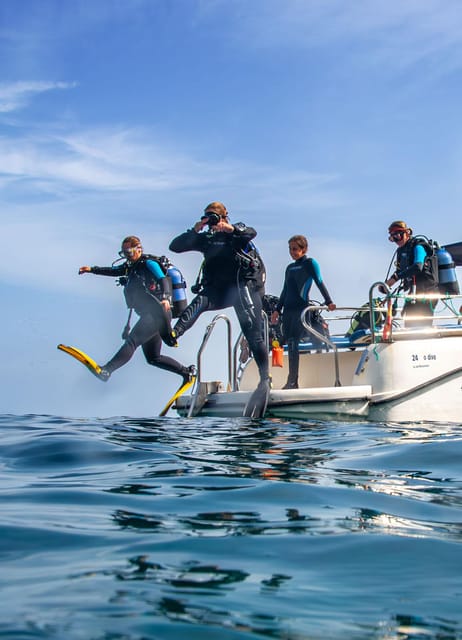 Mallorca: Scuba Diving – a Dive From the Boat (For Certified Divers)
