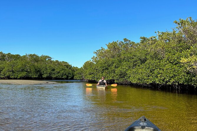 Manatees, Grasslands and Mangroves Kayak Tour (Small Group Tour) - Tour Highlights