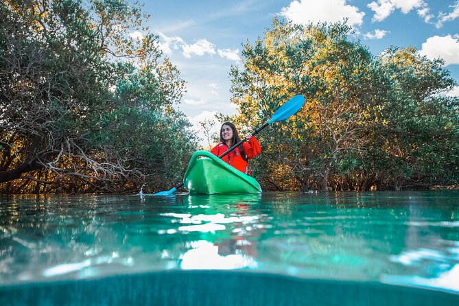Mangrove Kayaking Abu Dhabi