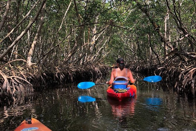 Mangrove Tunnels Pedal Kayak Eco-Tour in Anna Maria - Tour Overview