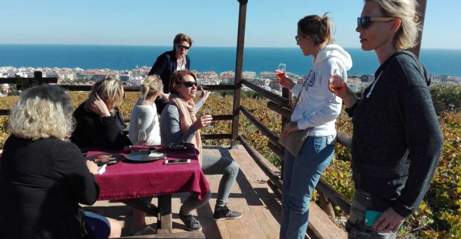 Manilva: Nilva Vineyard, Wine Tasting & Tapas Guided Tour