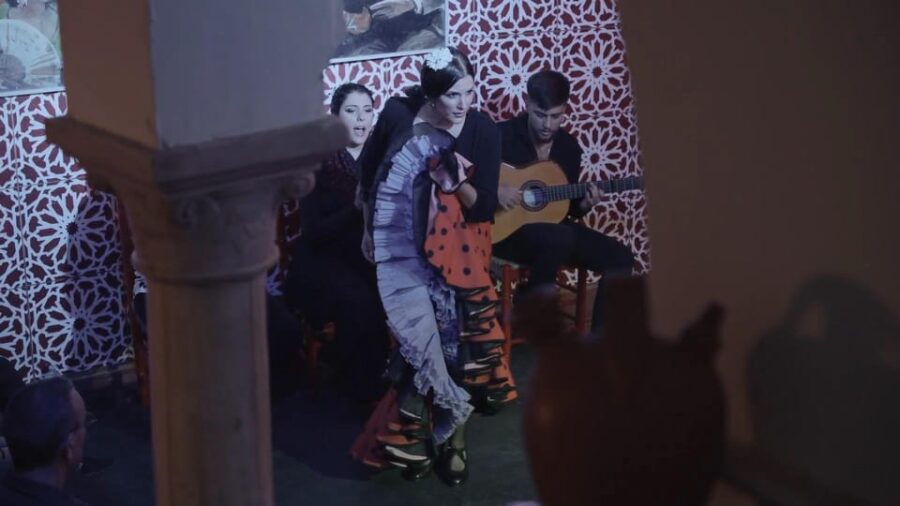 Mariscal Flamenco Show With Drink in Santa Cruz - Event Overview