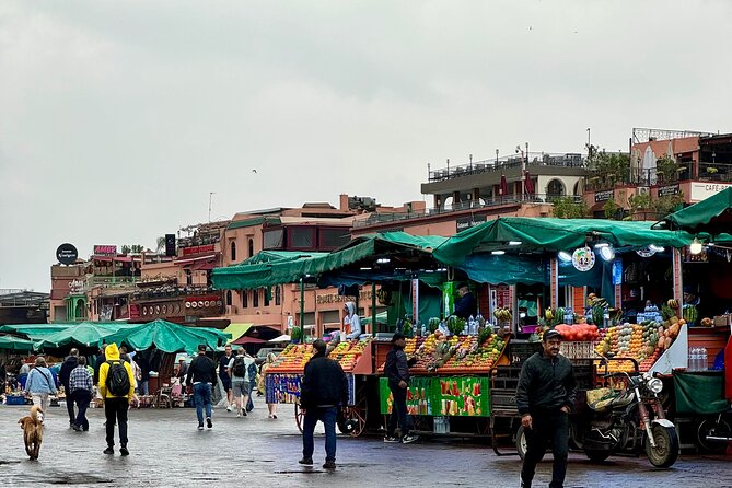 Marrakesh Medina Guided Tour - Overview of the Tour