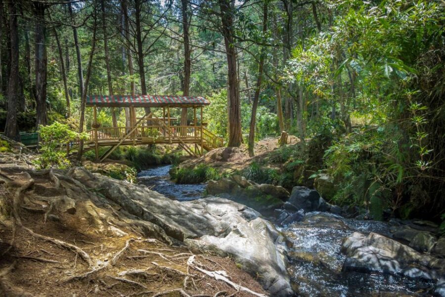 Medellín: Botanical Garden and Arvi Park City Tour - Tour Overview