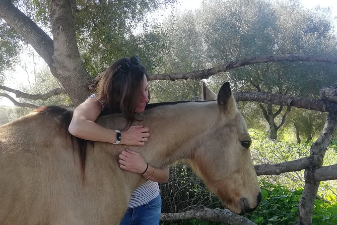 Meditation Activity: Mindfulness With Horses in Zahora