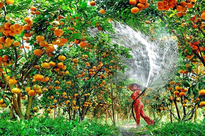 Mekong Delta 1 Day Tour