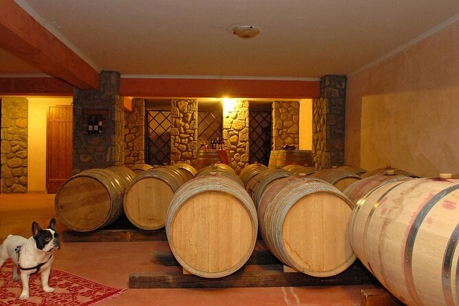 Meteora Private Guided Wine Tasting Experience From Kalampaka