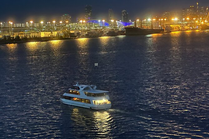 Miami Skyline and Biscayne Boat Party and Open Bar With Music - Overview and Experience