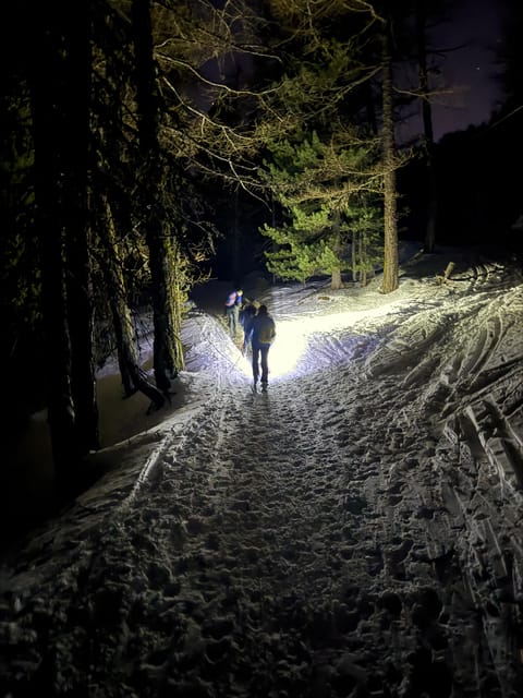 Milky Way: Night Snowshoeing Under the Stars
