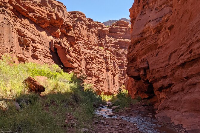 Moabs Slot Canyon Hike: Refreshingly Cool Summer Creek Adventure - Overview of the Moabs Slot Canyon Hike