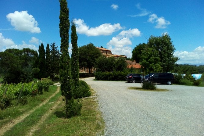 Montepulciano and Pienza Tuscany Wine&Cheese Fullday From Rome